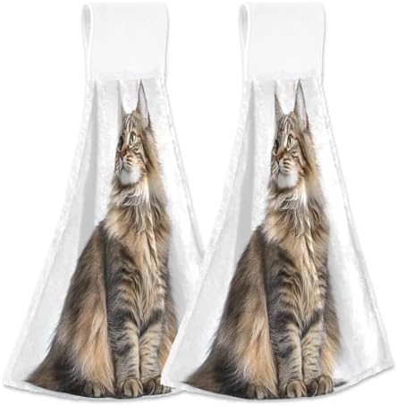 RPLIFE Hand Towels for Kids Set of 2 Cute Maine Coon Cat
