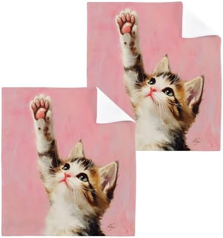 Xigua Kitten Washcloths Set of 2 12x12 Inch 1