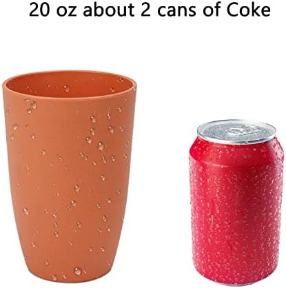 Homienly Reusable Plastic Cups