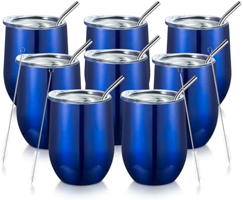 Stainless Steel Wine Tumbler 12 oz