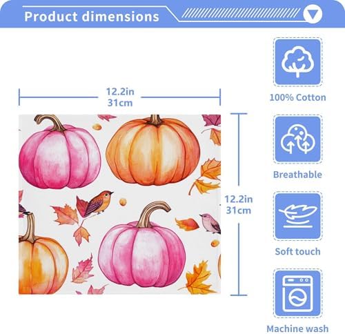 Xigua Pumpkins Washcloth Set