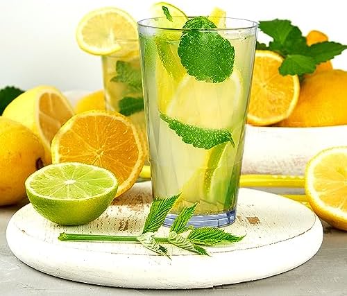HONGBOLI Unbreakable Shatterproof Plastic Drinking Glasses Set of 6