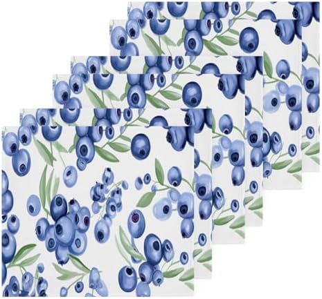 YETTASBIN Blueberry Washcloths 2 Pack