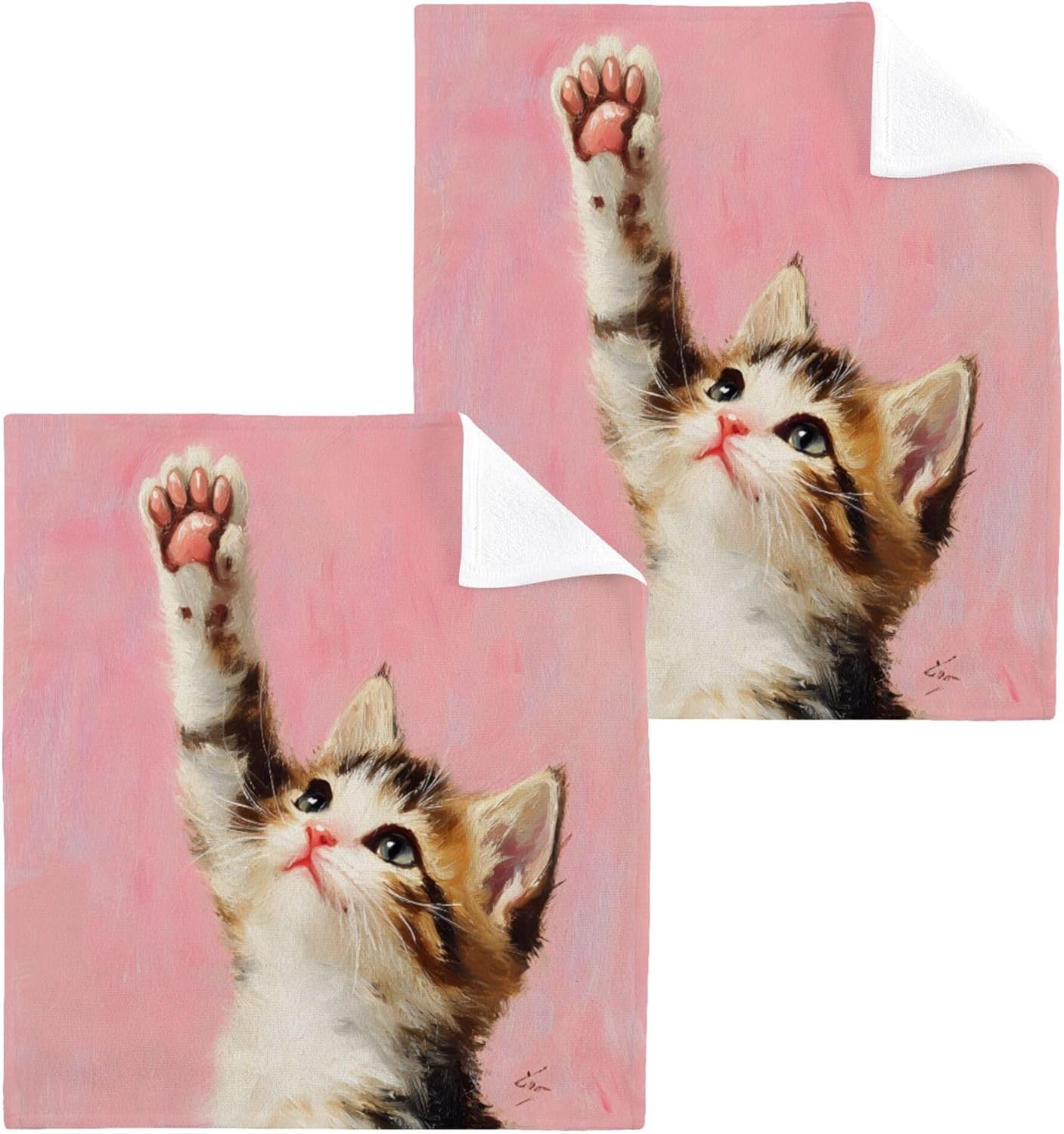 Xigua Kitten Washcloths Set of 2 12x12 Inch 1